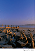 Appledore by Peter Hendrie