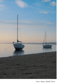 Instow Boats