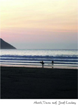 North Devon Surf