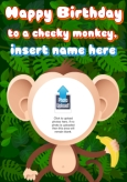 Cheeky Monkey Birthday