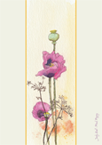 Pink Poppy by Judy Ball 