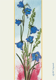 Campanula by Judy Ball 