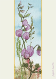 Sweet Pea by Judy Ball