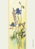 Columbine by Judy Ball