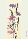 Cornflower by Judy Ball