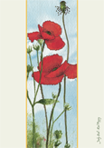 Red Poppy by Judy Ball
