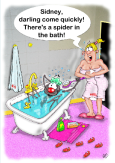Bathing Spider