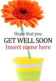 Get Well Soon Pots