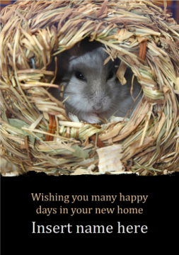 Mouse Nest Card Mouse Nest