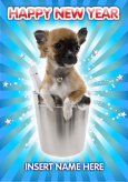 Chihuahua