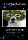 Party Dog