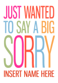 Big Sorry