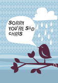 Sorry Bird